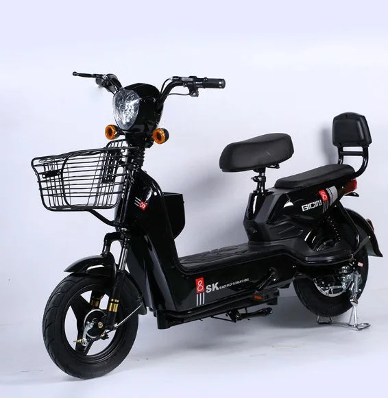 2 Wheel Fast E-bike
