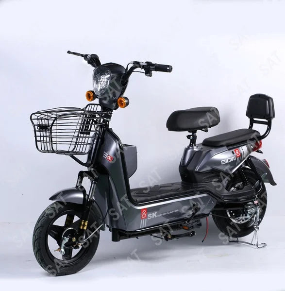 2 Wheel Fast E-bike